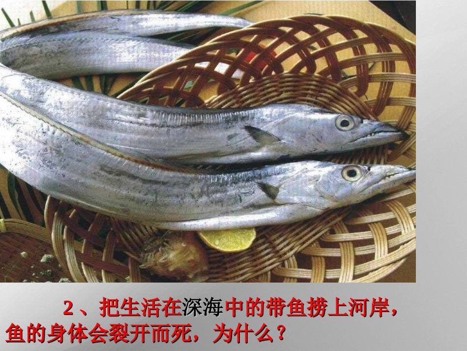 液体压强课件霍_第2页