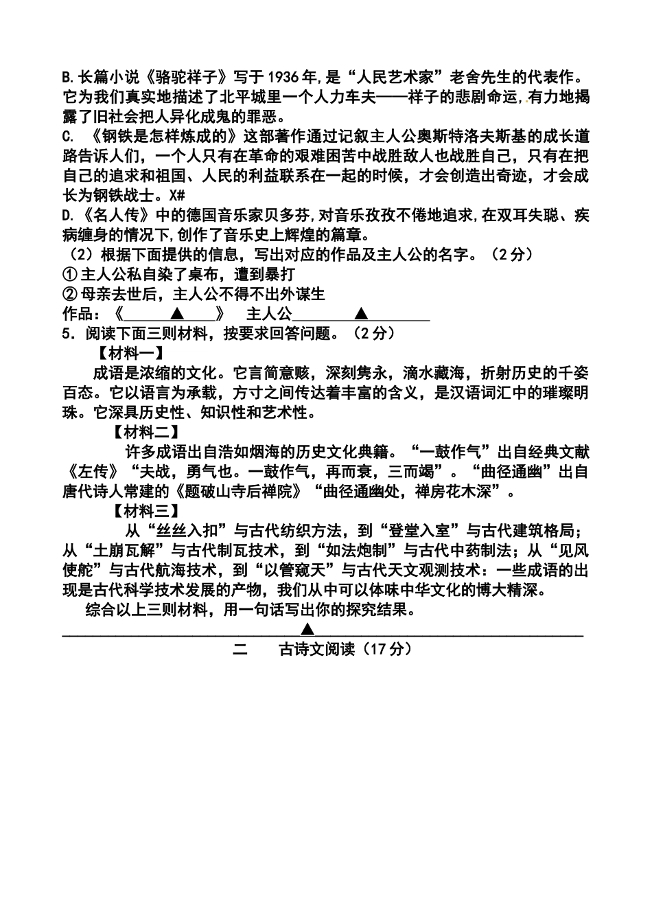 2014届江苏省徐州市沛县九年级中考打靶卷语文试题及答案_第2页