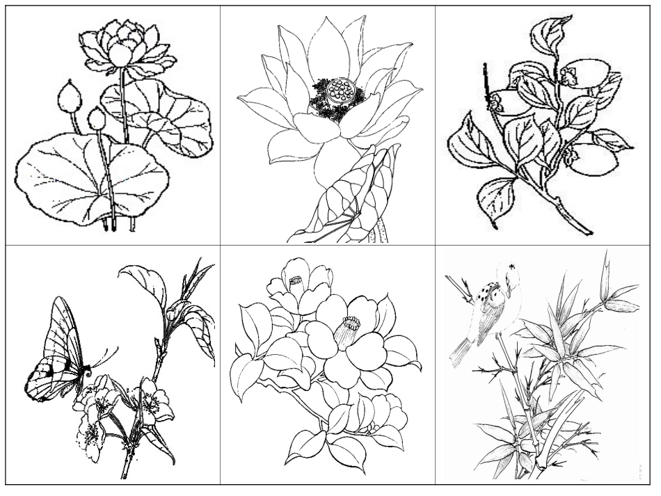 【素材】《我们是朋友》植物(首师大版)_第3页