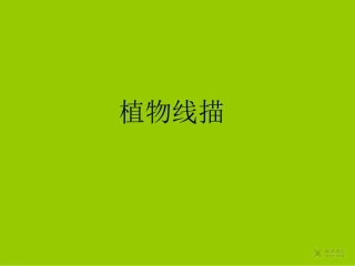 【素材】《我们是朋友》植物(首师大版)