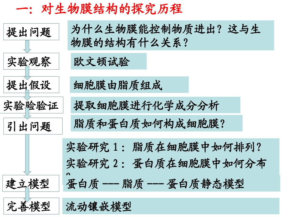 584生物膜的流动镶嵌模型_第2页