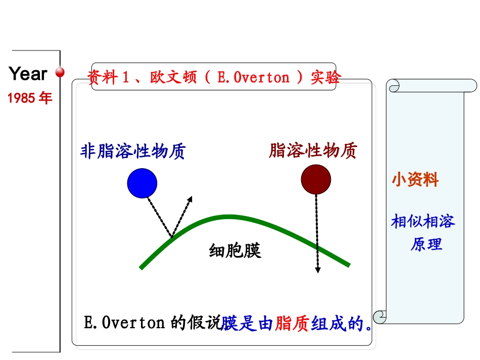 584生物膜的流动镶嵌模型_第3页