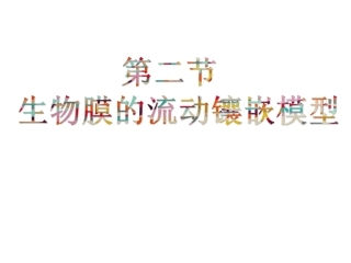 584生物膜的流动镶嵌模型