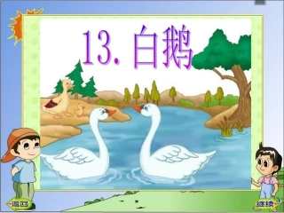 13课《白鹅》课件
