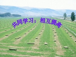 【精品课件一】第22课科学和思想的力量