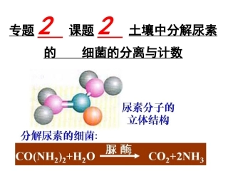 边做边学以尿素为唯一氮源的土壤微生物的分离、培养与数量测定