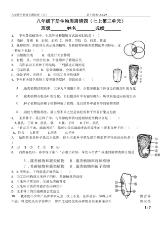 八年级下册周周清四