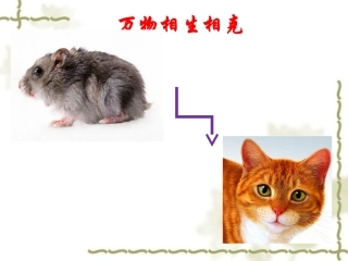 课件：小圣施威降大圣