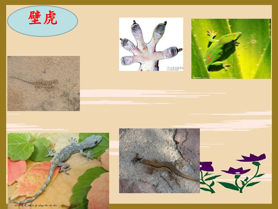 10飞檐走壁的虎将_第3页