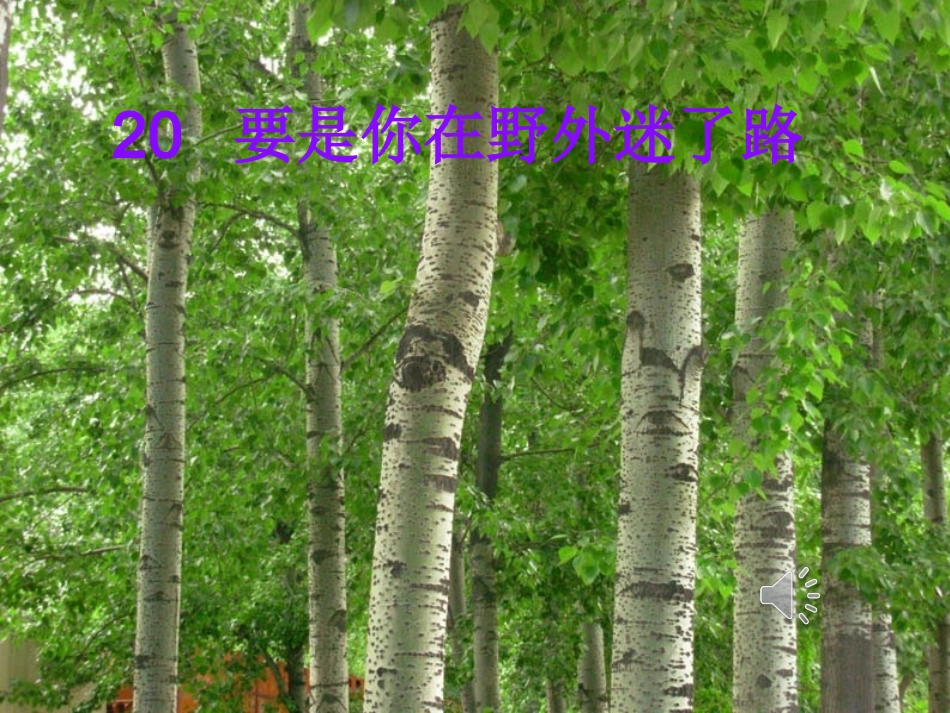 二年级语文下册第五组20.要是你在野外迷了路第二课时课件_第1页