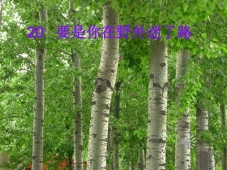 二年级语文下册第五组20.要是你在野外迷了路第二课时课件