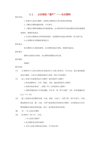 九年级化学上册 5.3 古生物的“遗产”—化石燃料精品教案 粤教版