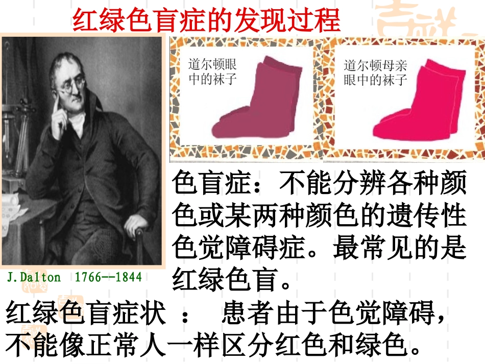2.3伴性遗传_第2页