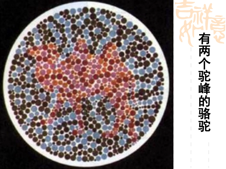 2.3伴性遗传_第3页