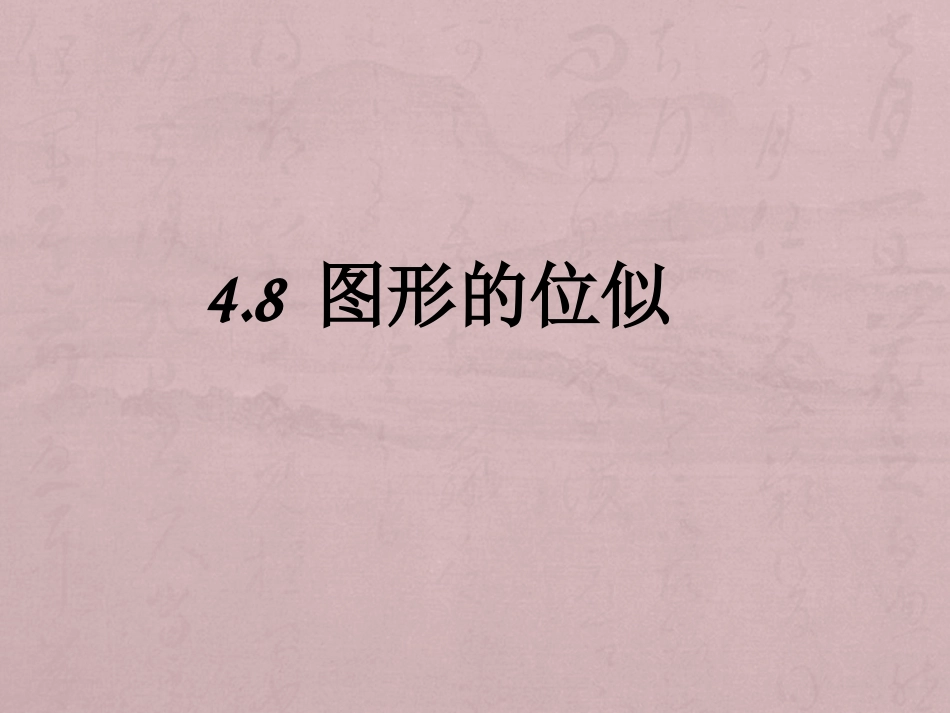 4.8位似图形_第1页