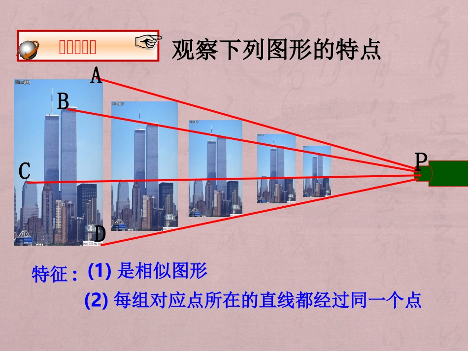 4.8位似图形_第2页