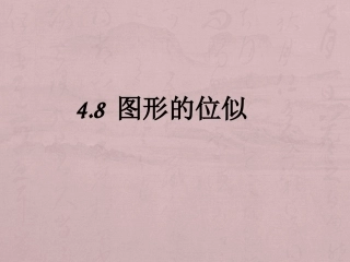 4.8位似图形
