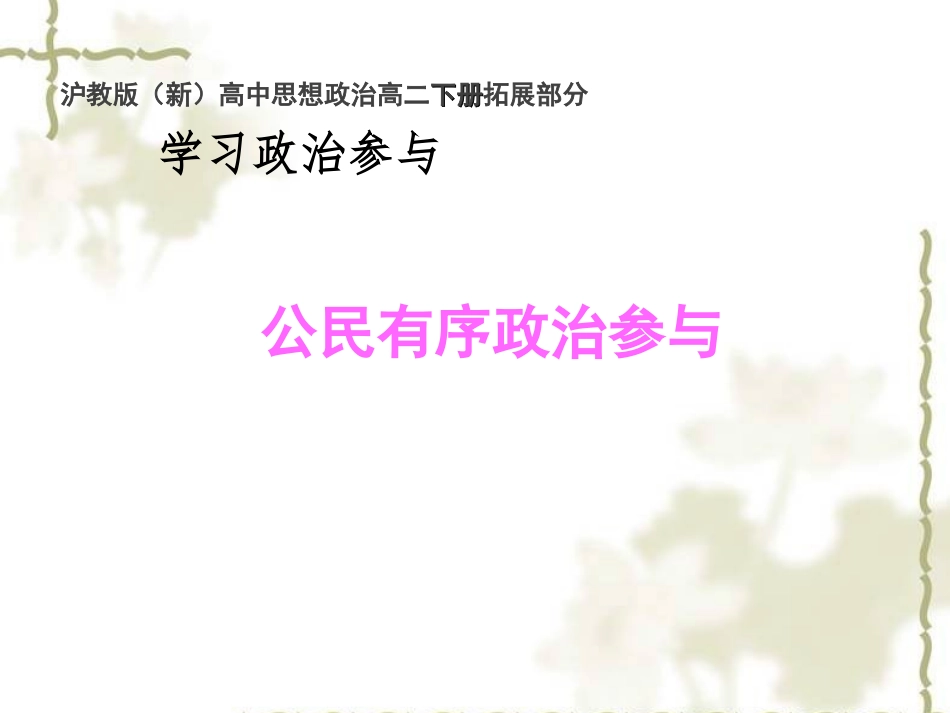 公民有序政治参与_第3页