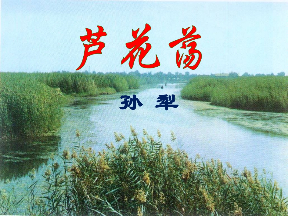 10《芦花荡》教学课件_第1页