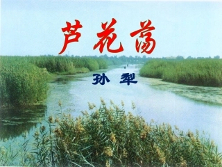 10《芦花荡》教学课件