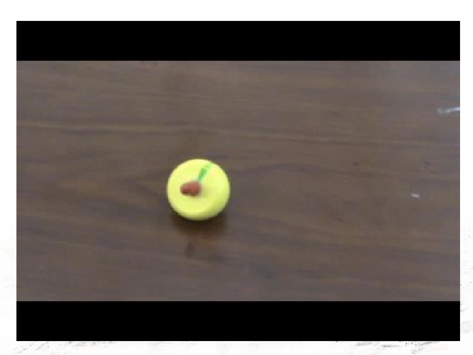 1.5-科学探究_第3页