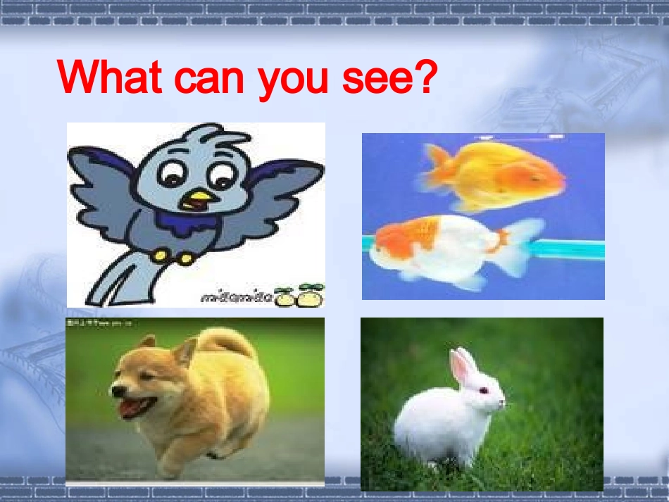 PepBook5Unit4Whatcanyoudo教学课件_第2页
