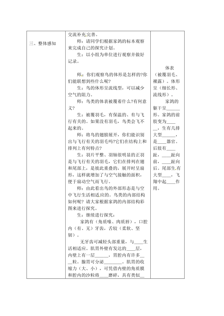 山东省胶南市理务关镇中心中学2012-2013学年八年级生物 空中飞行的动物教案_第2页