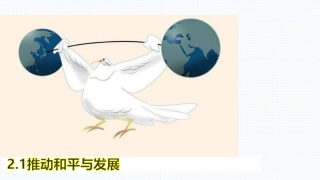 推动和平与发展-(3)