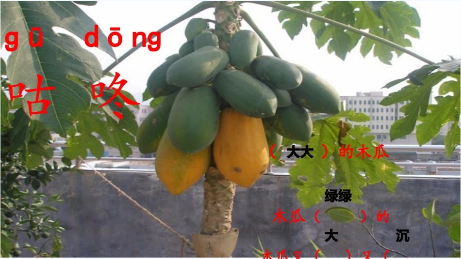 (部编)人教语文2011课标版一年级下册20、《咕咚》ppt_第2页