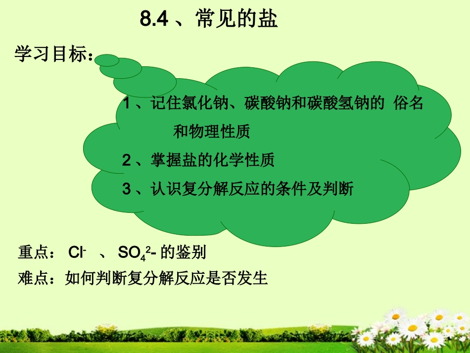 九年级化学下册 8.4 常用的盐课件1 粤教版_第1页