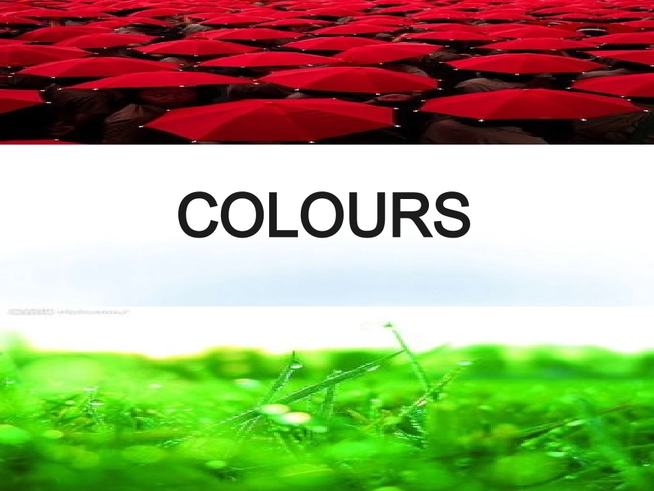 Lesson-19-RedGreen.课件-3_第2页