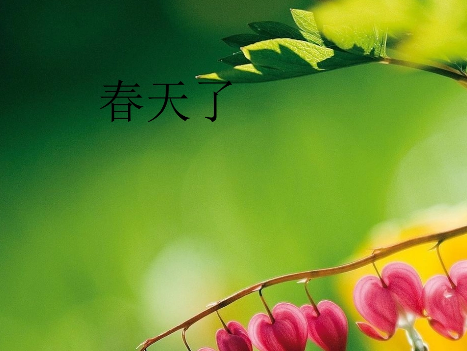 病房里的故事幻灯片1_第3页