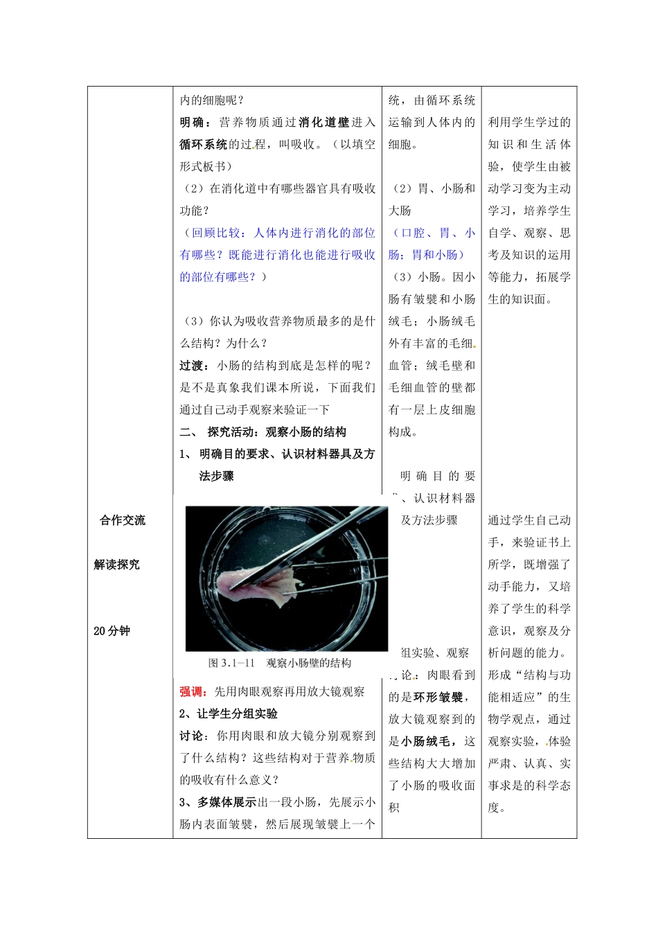 山东省枣庄市第四十二中学七年级生物《消化和吸收》教案_第3页