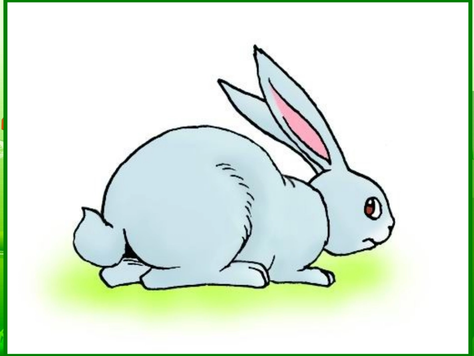 《比尾巴》课件2_第2页