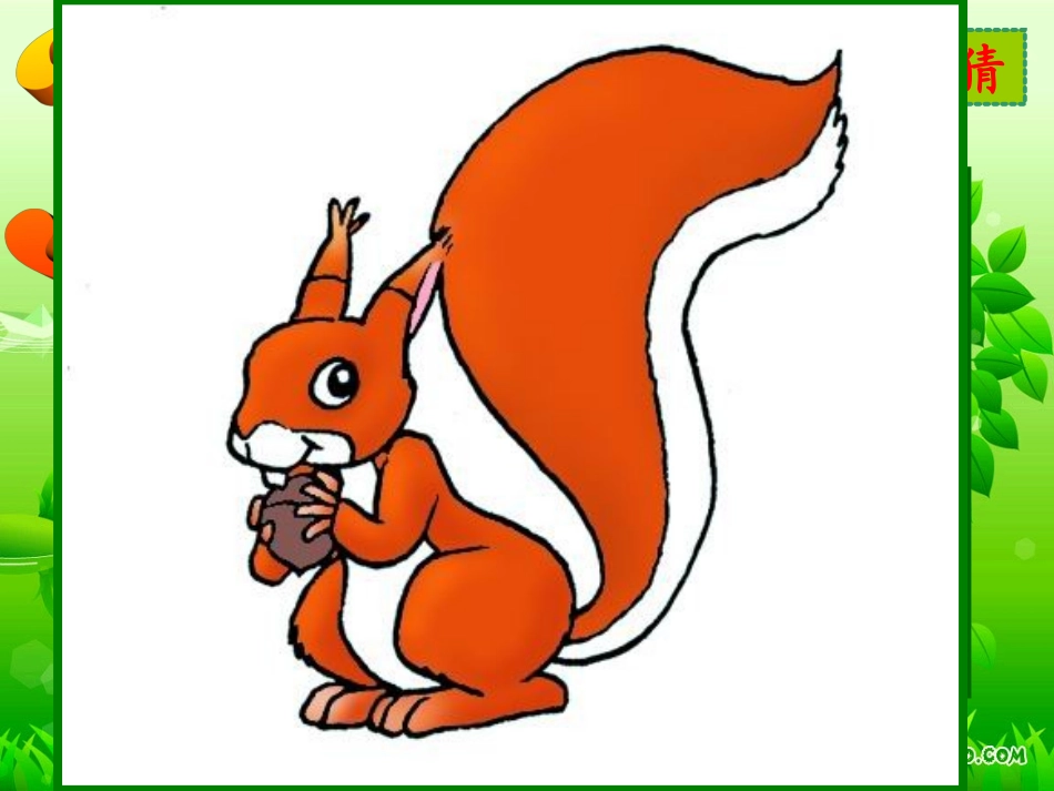 《比尾巴》课件2_第3页