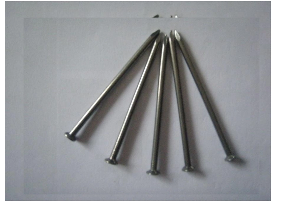 人教2011版小学数学三年级毫米分米的认识_第2页