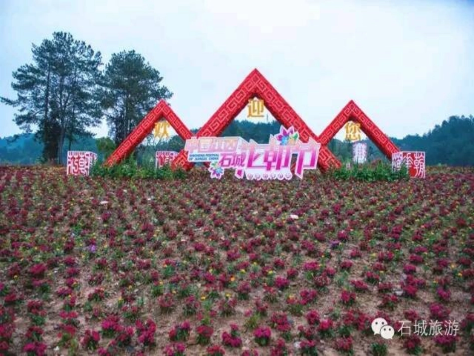 十几加几和相应的减法_第3页