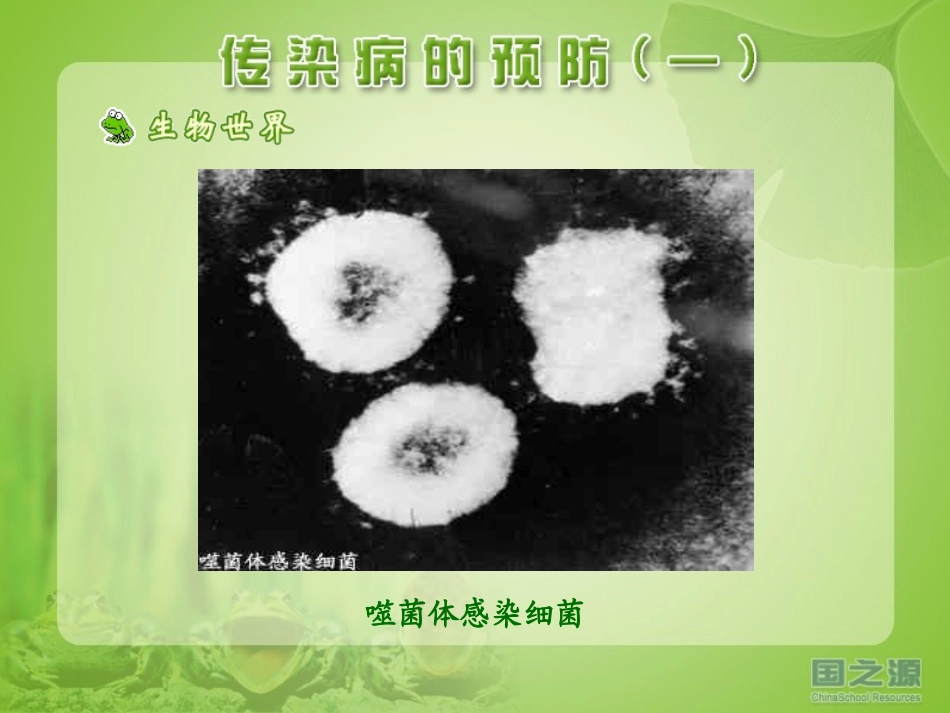 传染病的预防(一)_第3页