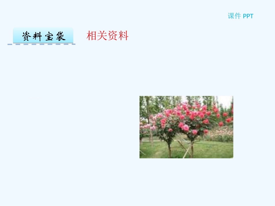 第23课孩子们的花_第2页