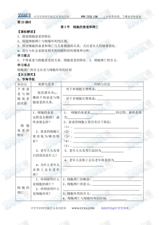 新人教必修1高中生物学案20第6章第3节 细胞的衰老与凋亡