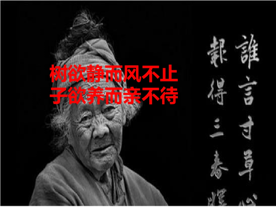 十一回忆我的母亲_第2页