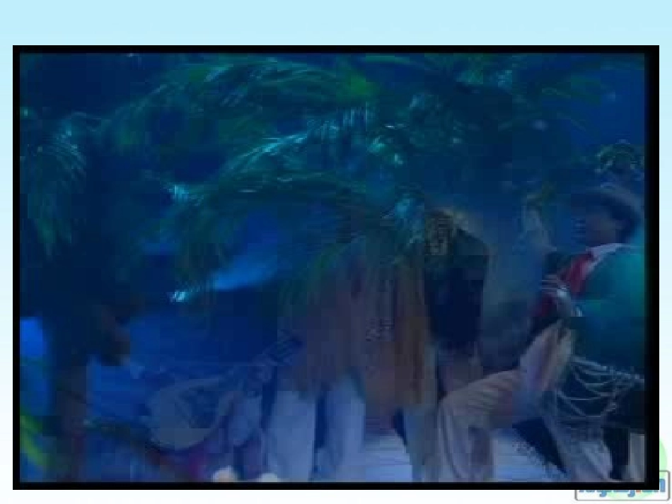 星星索-(2)_第1页