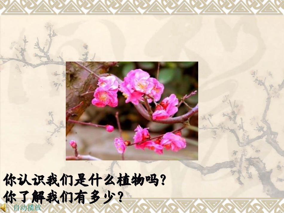 第4课梅竹精神_第2页