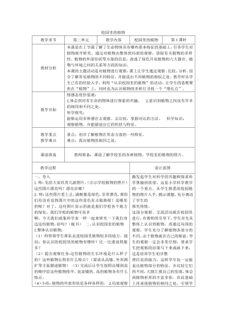 校园里的植物