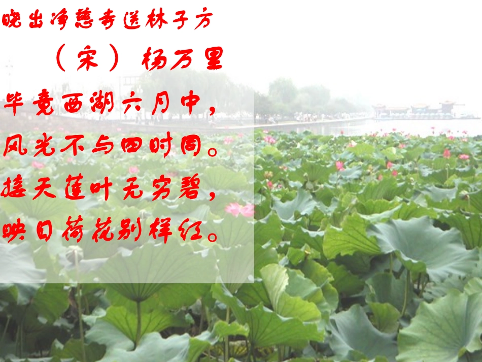 22.《爱莲说》_第2页