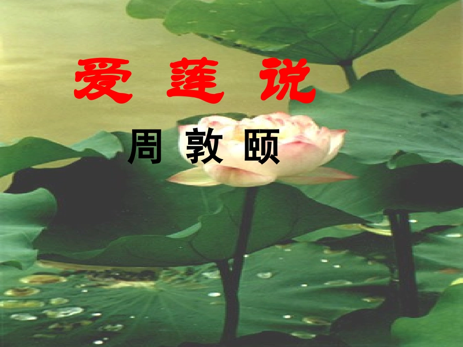 22.《爱莲说》_第3页