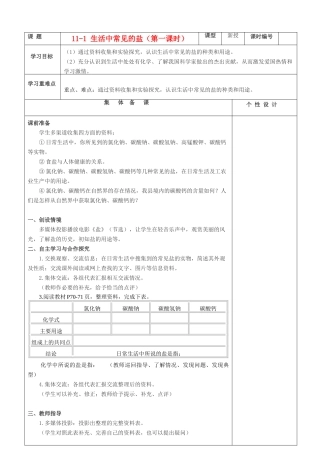 九年级化学上册 第十一单元 盐 化肥教案 人教新课标版