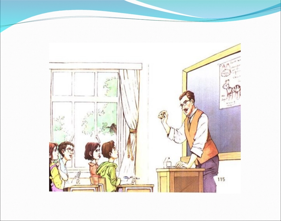 24一个这样的老师_第2页