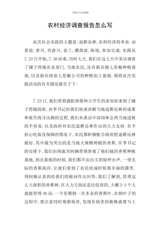 农村经济调查报告怎么写
