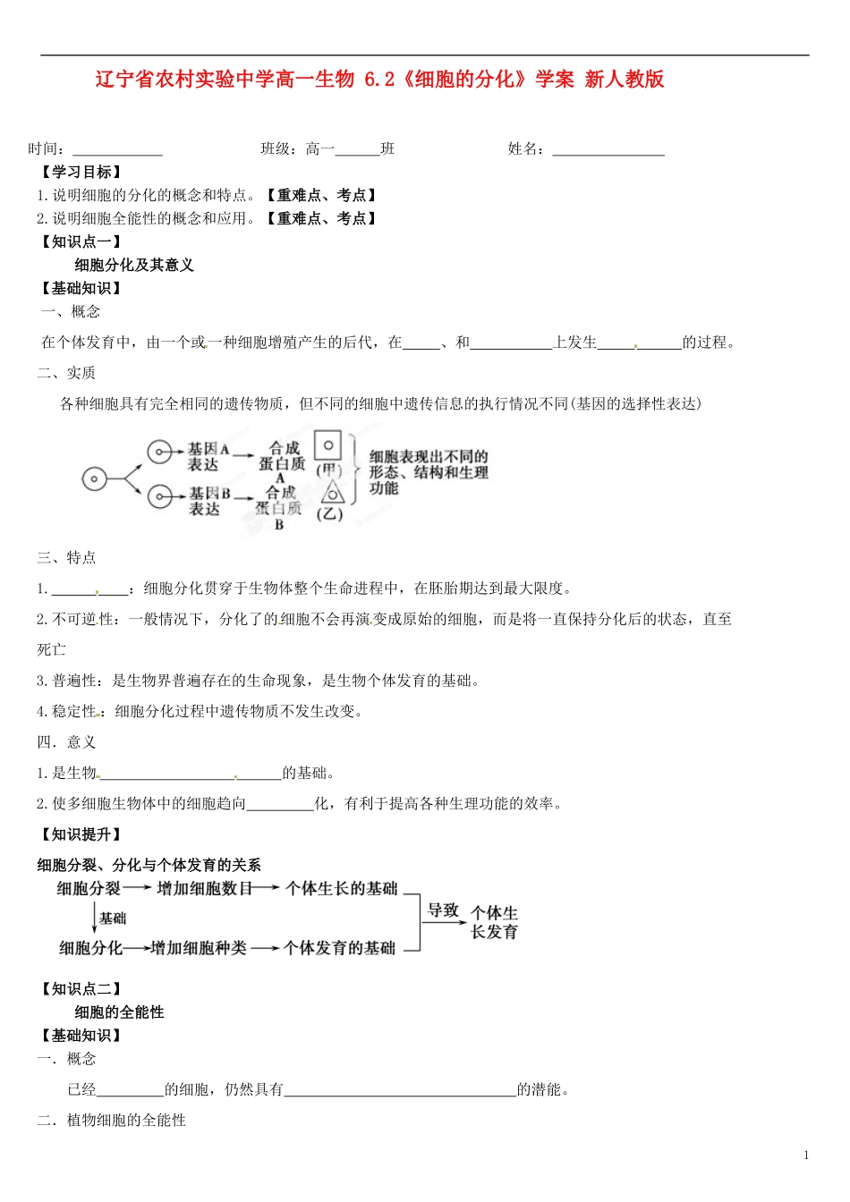 辽宁省农村实验中学高一生物 6.2《细胞的分化》学案 新人教版_第1页